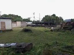 View 14