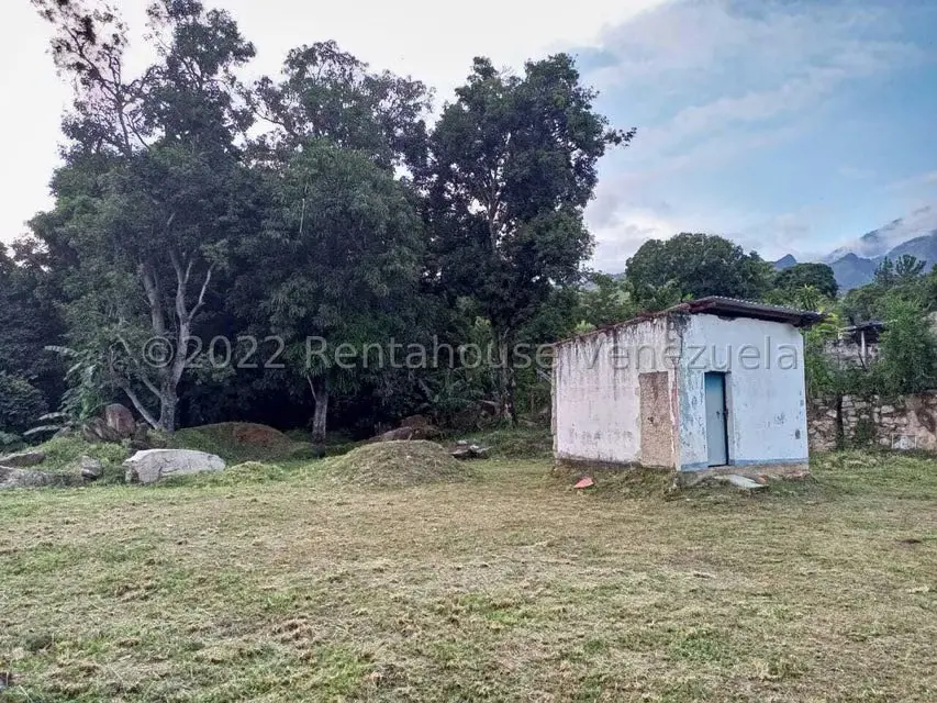 Terreno (Comercial) en Venta en El Limon, Aragua - 5