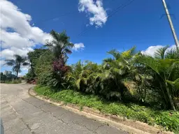 Vista 1