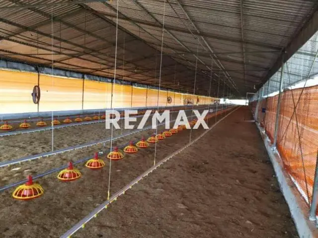 Granja integral productiva avicola ganadera y mineria