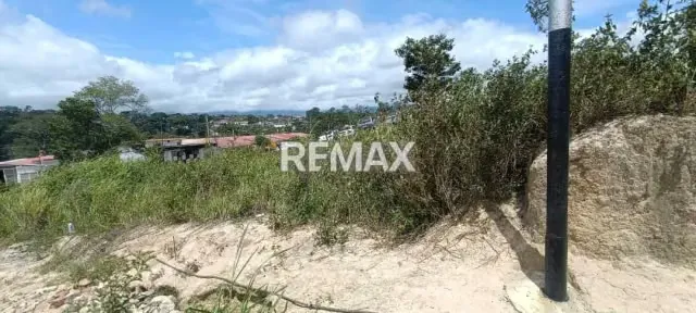 VENTA DE TERRENO EN RUBIO - 2