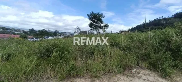 VENTA DE TERRENO EN RUBIO - 3