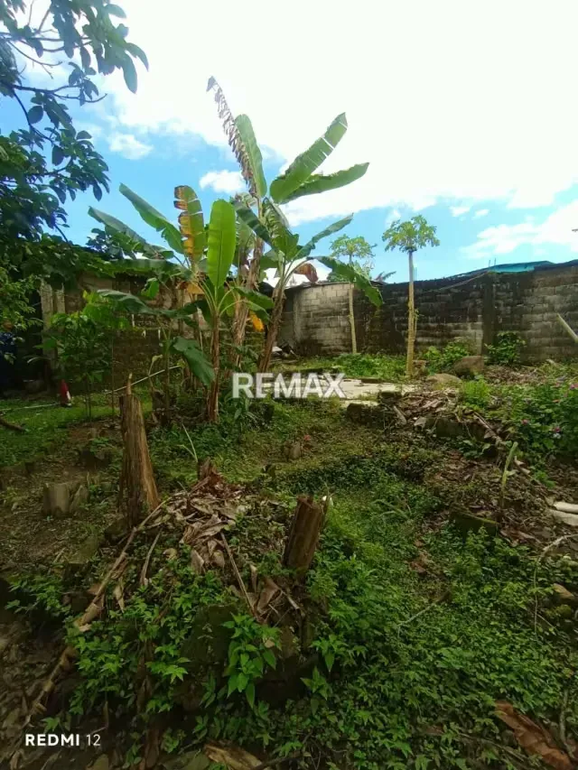 EN VENTA CASA UBICADA EL PALMAR NUEVO, vía principal, Municipio Torbes, San Cristóbal Estado Táchira Venezuela - 11