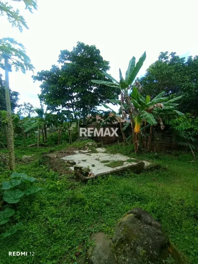 EN VENTA CASA UBICADA EL PALMAR NUEVO, vía principal, Municipio Torbes, San Cristóbal Estado Táchira Venezuela - 12