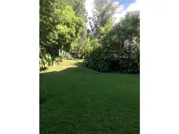 View 4