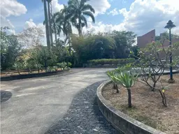 Vista 19