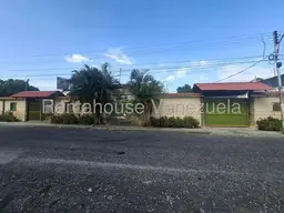 Vista 19