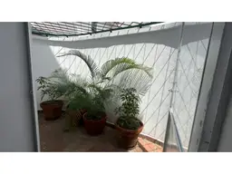 Vista 9
