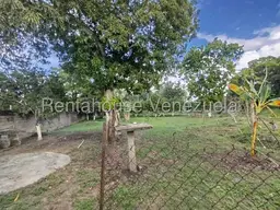 View 14