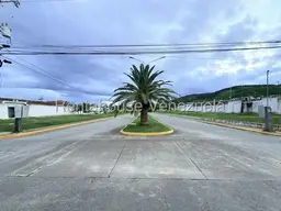 Vista 33