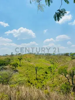 Vista 1