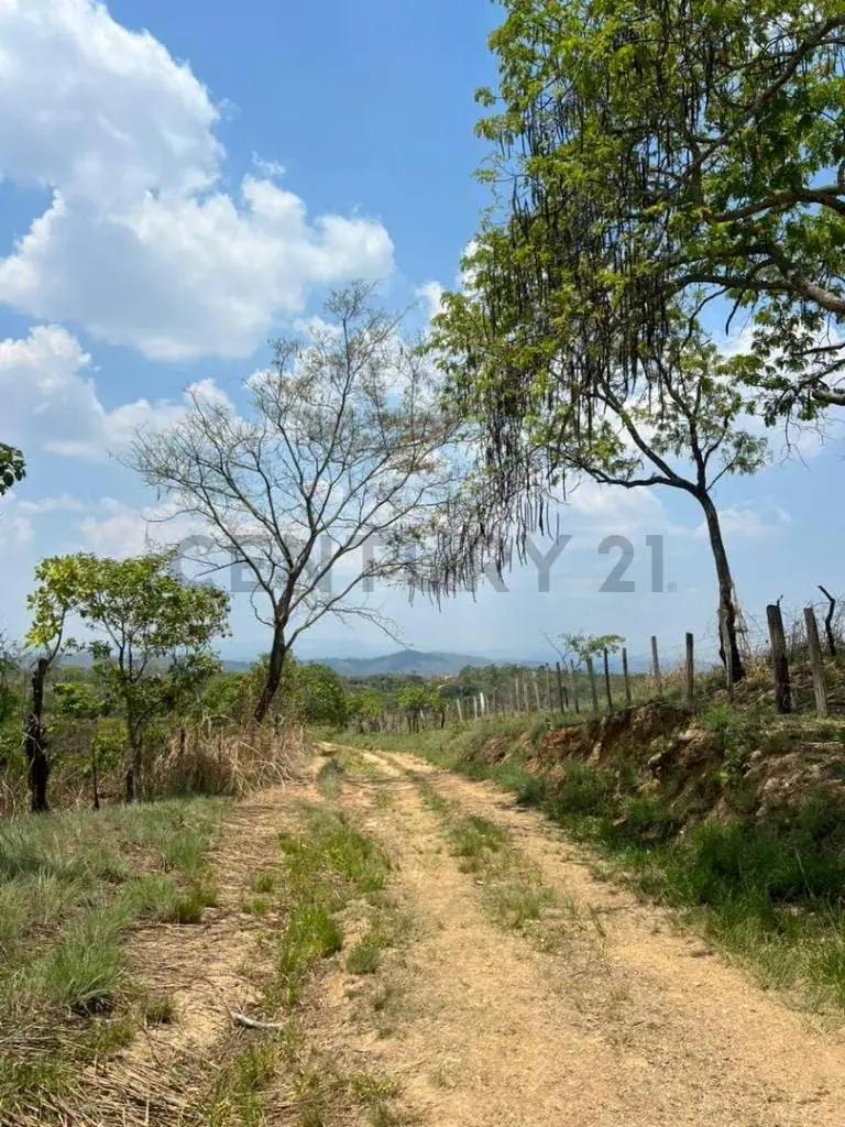 Finca los tucucitos, Edo Cojedes - 8