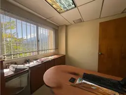 Vista 24