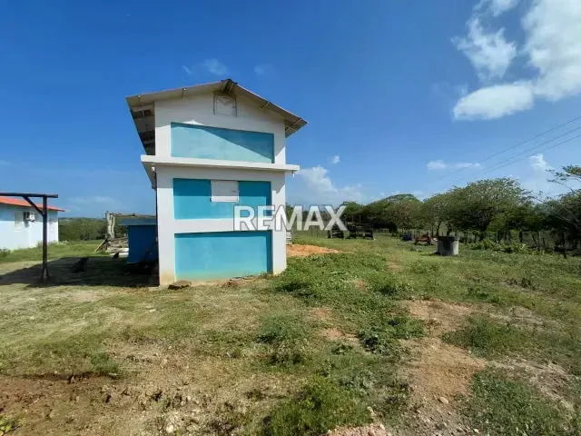 SE VENDE, FINCA DE 61 HECTAREAS EN EL CAIMAN. YARACAL - 12