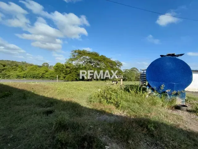 SE VENDE, FINCA DE 61 HECTAREAS EN EL CAIMAN. YARACAL - 13