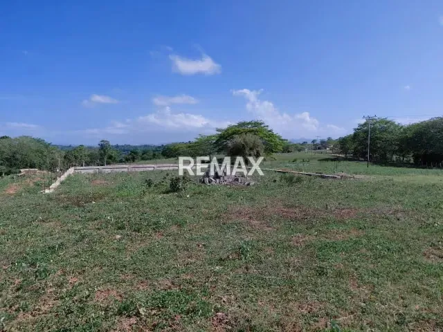 SE VENDE, FINCA DE 61 HECTAREAS EN EL CAIMAN. YARACAL - 14