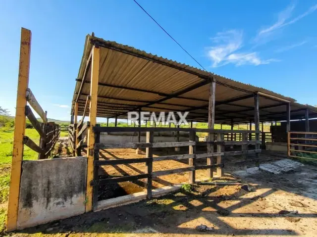 SE VENDE, FINCA DE 61 HECTAREAS EN EL CAIMAN. YARACAL - 15