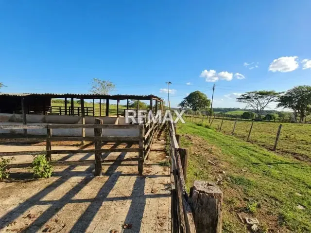 SE VENDE, FINCA DE 61 HECTAREAS EN EL CAIMAN. YARACAL - 16