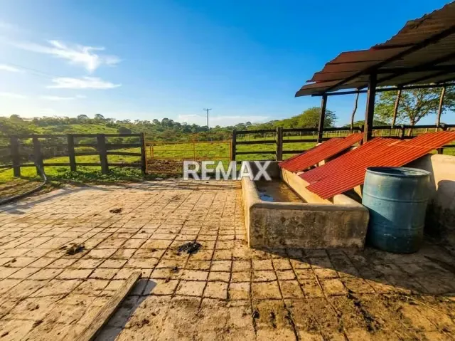SE VENDE, FINCA DE 61 HECTAREAS EN EL CAIMAN. YARACAL - 17