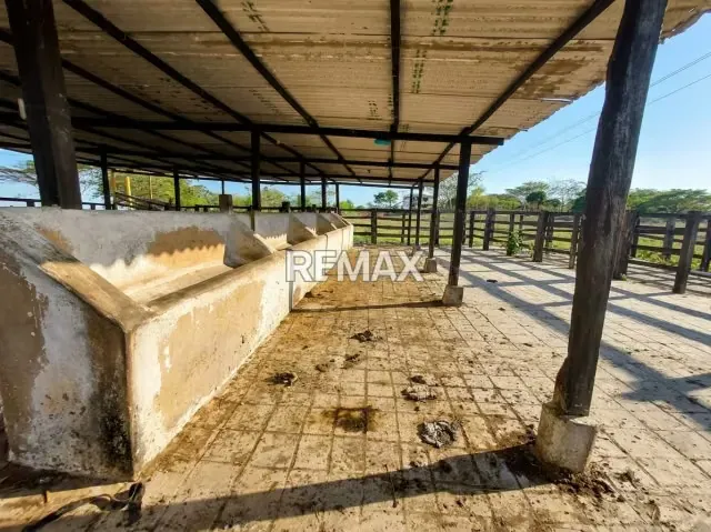SE VENDE, FINCA DE 61 HECTAREAS EN EL CAIMAN. YARACAL - 18