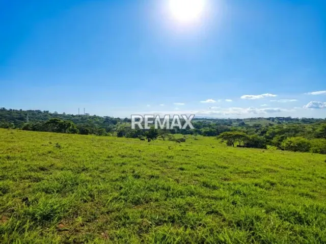 SE VENDE, FINCA DE 61 HECTAREAS EN EL CAIMAN. YARACAL - 19