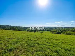 Vista 19