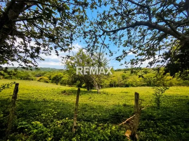 SE VENDE, FINCA DE 61 HECTAREAS EN EL CAIMAN. YARACAL - 20