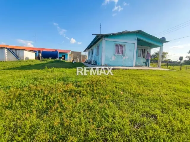 SE VENDE, FINCA DE 61 HECTAREAS EN EL CAIMAN. YARACAL - 2