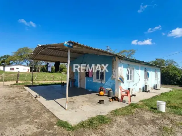 SE VENDE, FINCA DE 61 HECTAREAS EN EL CAIMAN. YARACAL - 3