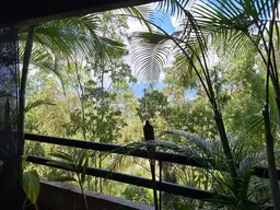 Vista 6