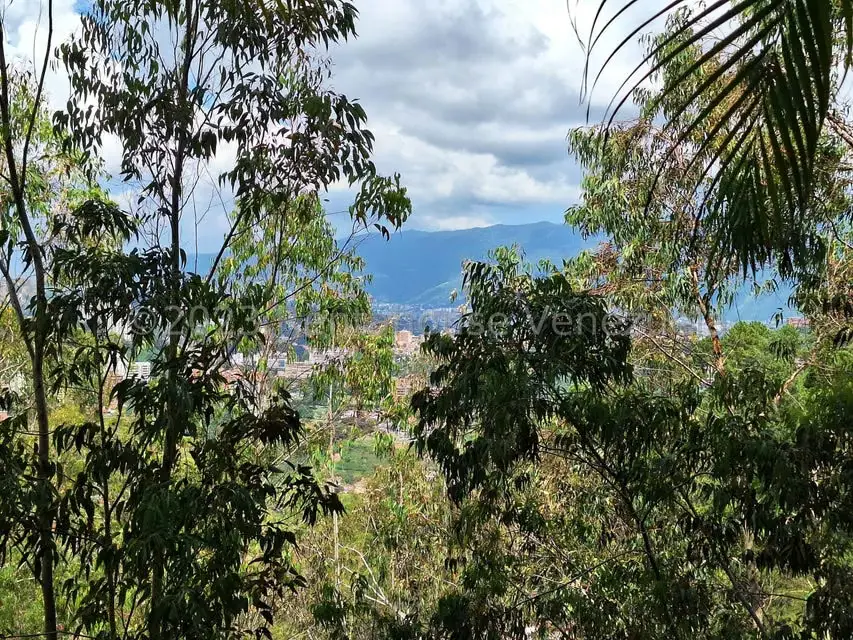 Apartamento (1 Nivel) en Venta en Los Naranjos del Cafetal, Distrito Metropolitano - 7