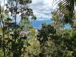 Vista 7