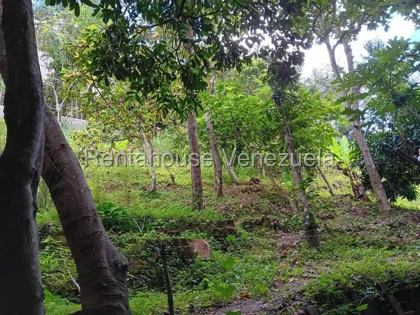 Local Comercial en Venta en Mariche, Distrito Metropolitano - 3
