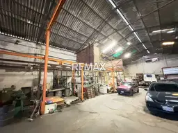 Vista 5