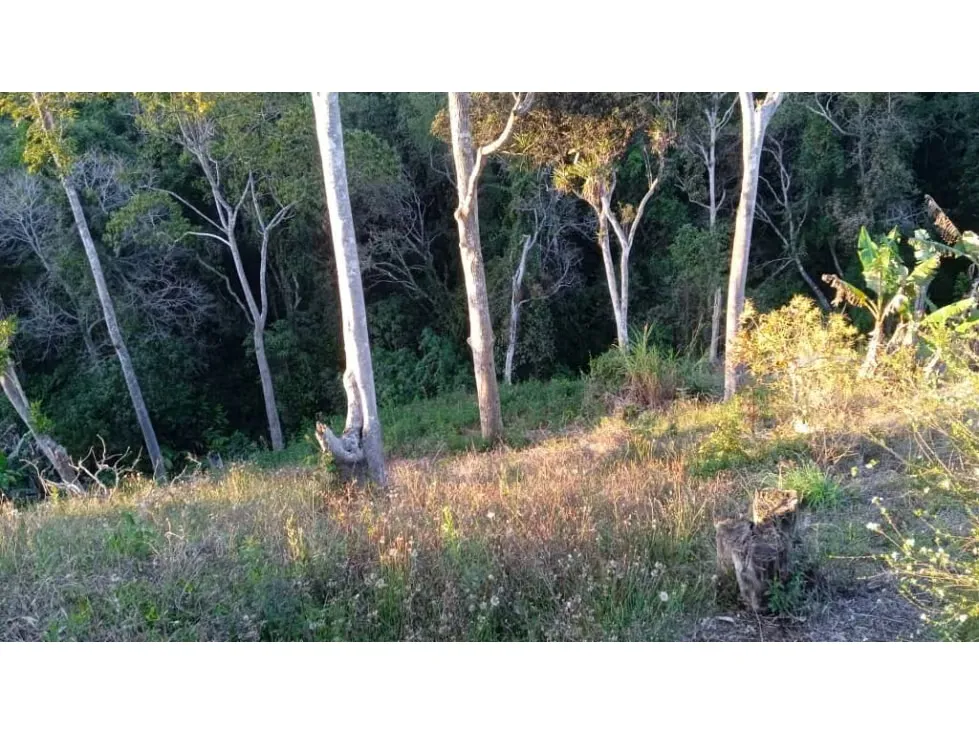 Oferta Terreno de 2600 mtrs2 en venta el Junquito la Niebla