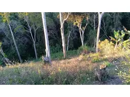 Vista 1