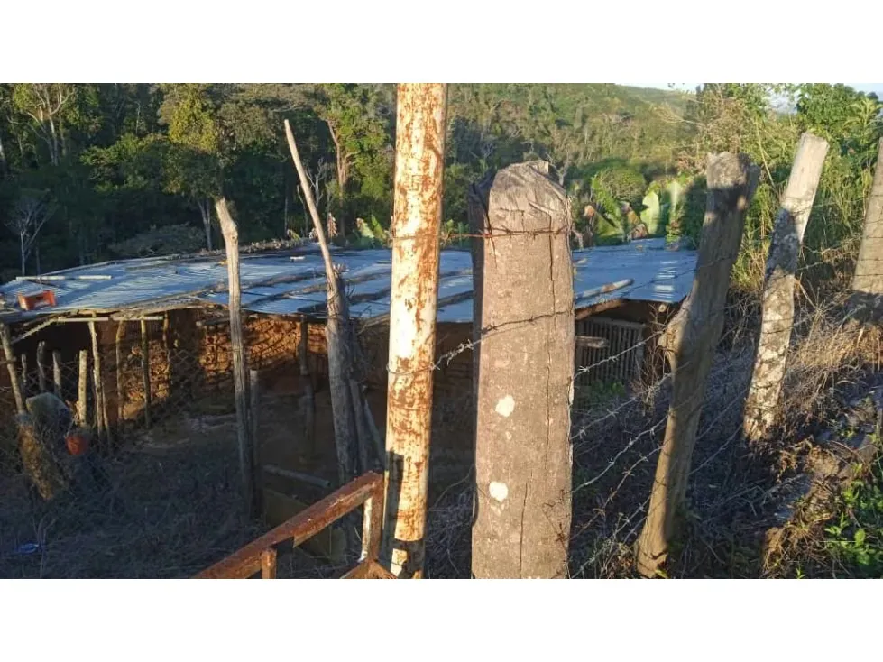 Oferta Terreno de 2600 mtrs2 en venta el Junquito la Niebla - 7
