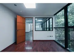 Vista 19