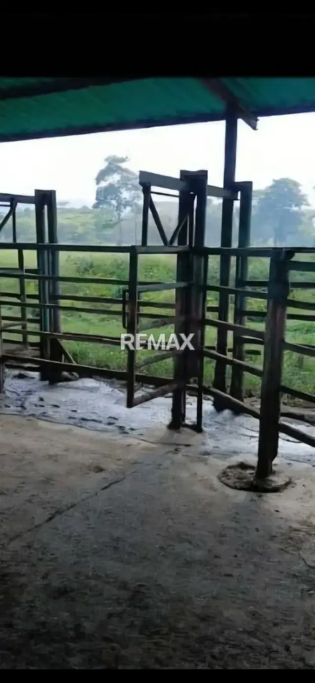 Venta de Finca de 220 hectáreas sector La fe Edo Cojedes