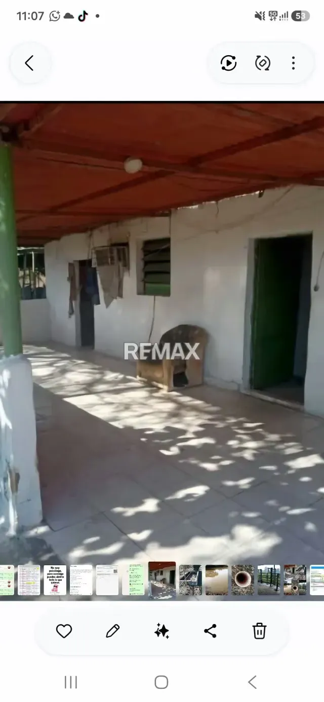 Venta de Finca de 220 hectáreas sector La fe Edo Cojedes - 7