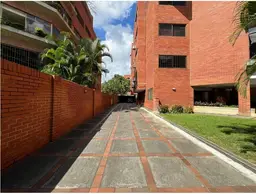 Vista 37