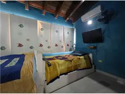 Vista 24
