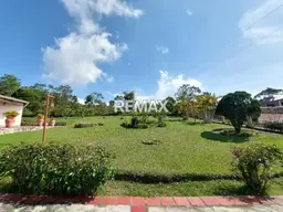 Vista 17
