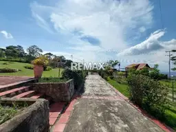 Vista 19