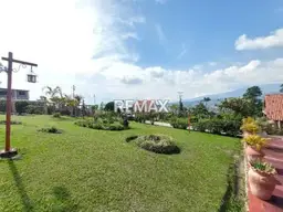 Vista 6
