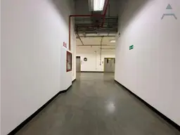 Vista 6