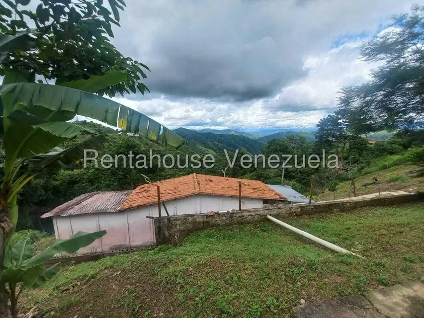 Casa (1 Nivel) en Venta en Avenida Principal Cecilio Acosta, Miranda - 25