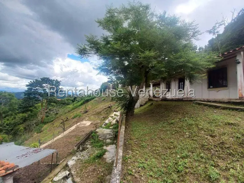 Casa (1 Nivel) en Venta en Avenida Principal Cecilio Acosta, Miranda - 33