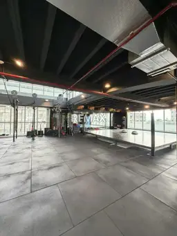 Vista 5