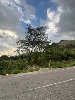 Vista 1